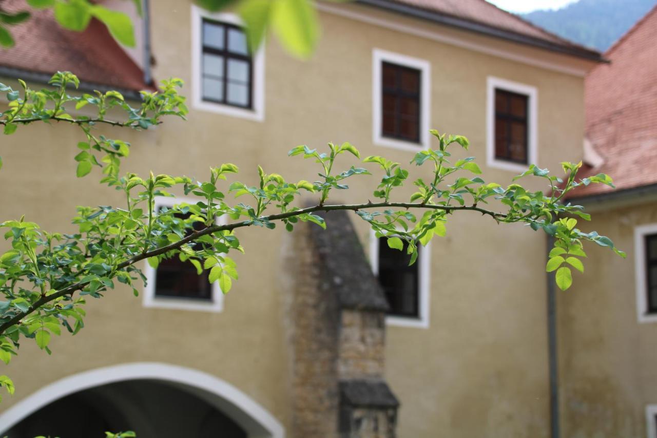 Hotel Im Stift Neuberg Neuberg an der Mürz Buitenkant foto